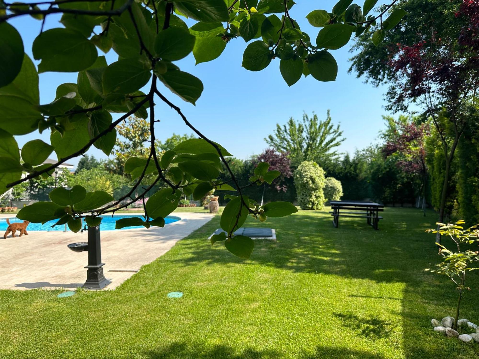 Guzel Evler Family Resort Sapanca Exterior photo